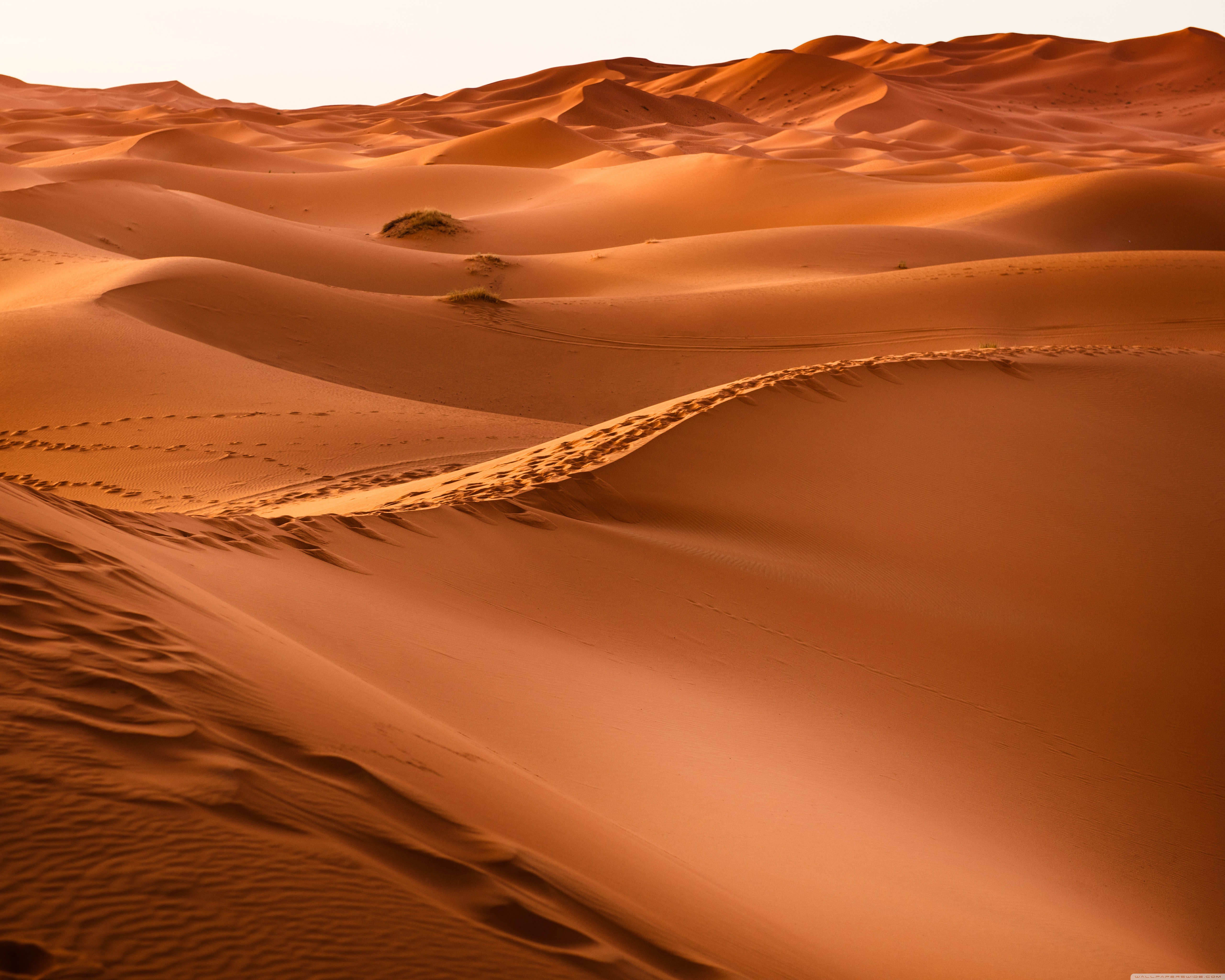 Morocco Desert 4k HD Desktop Wallpaper For Ultra Tv