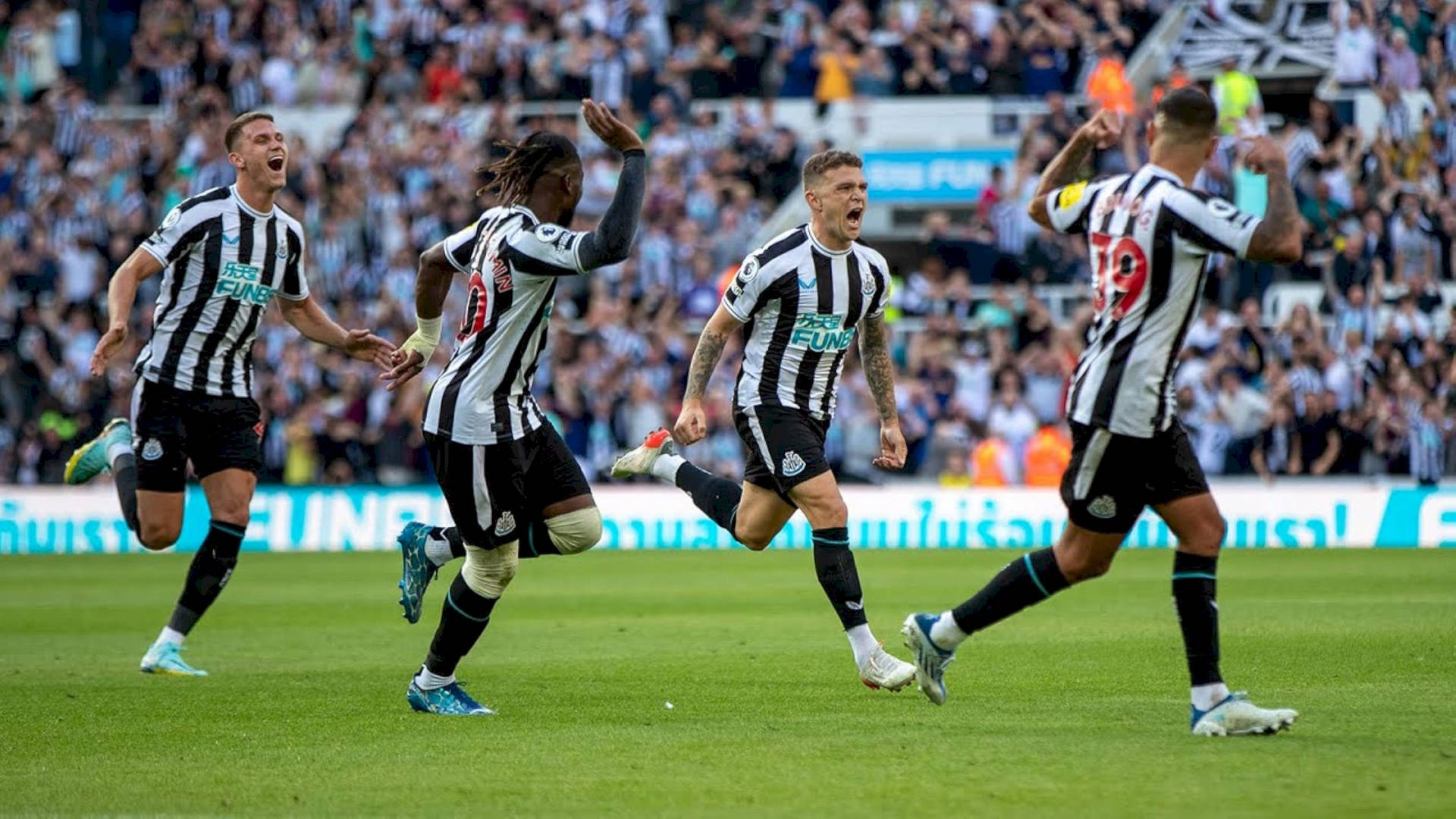 Newcastle United Fc Wallpaper