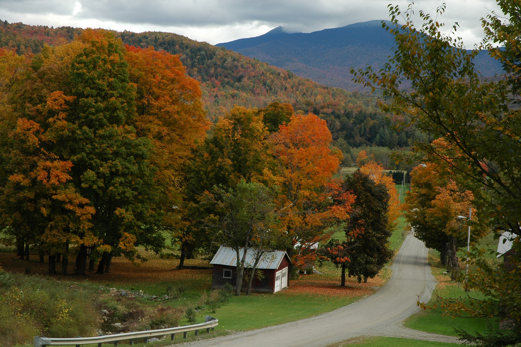Vermont Fall Folliage By Chensijan