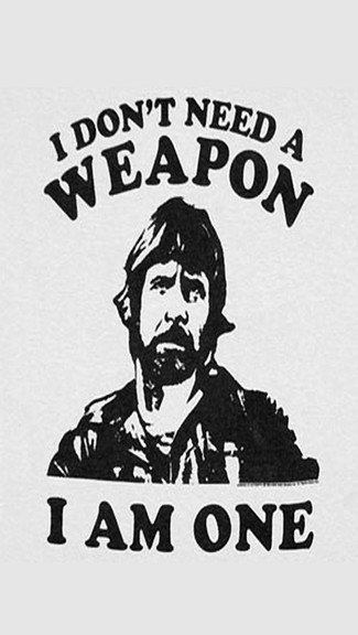 iPhone 5s Wallpaper And Chuck Norris Sep