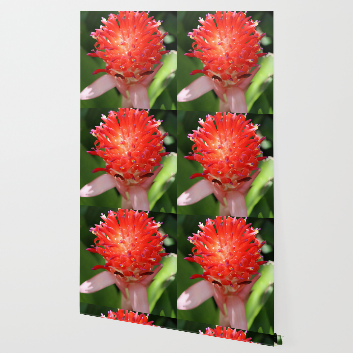 Bromeliad Blooming Wallpaper By Tome213 Society6
