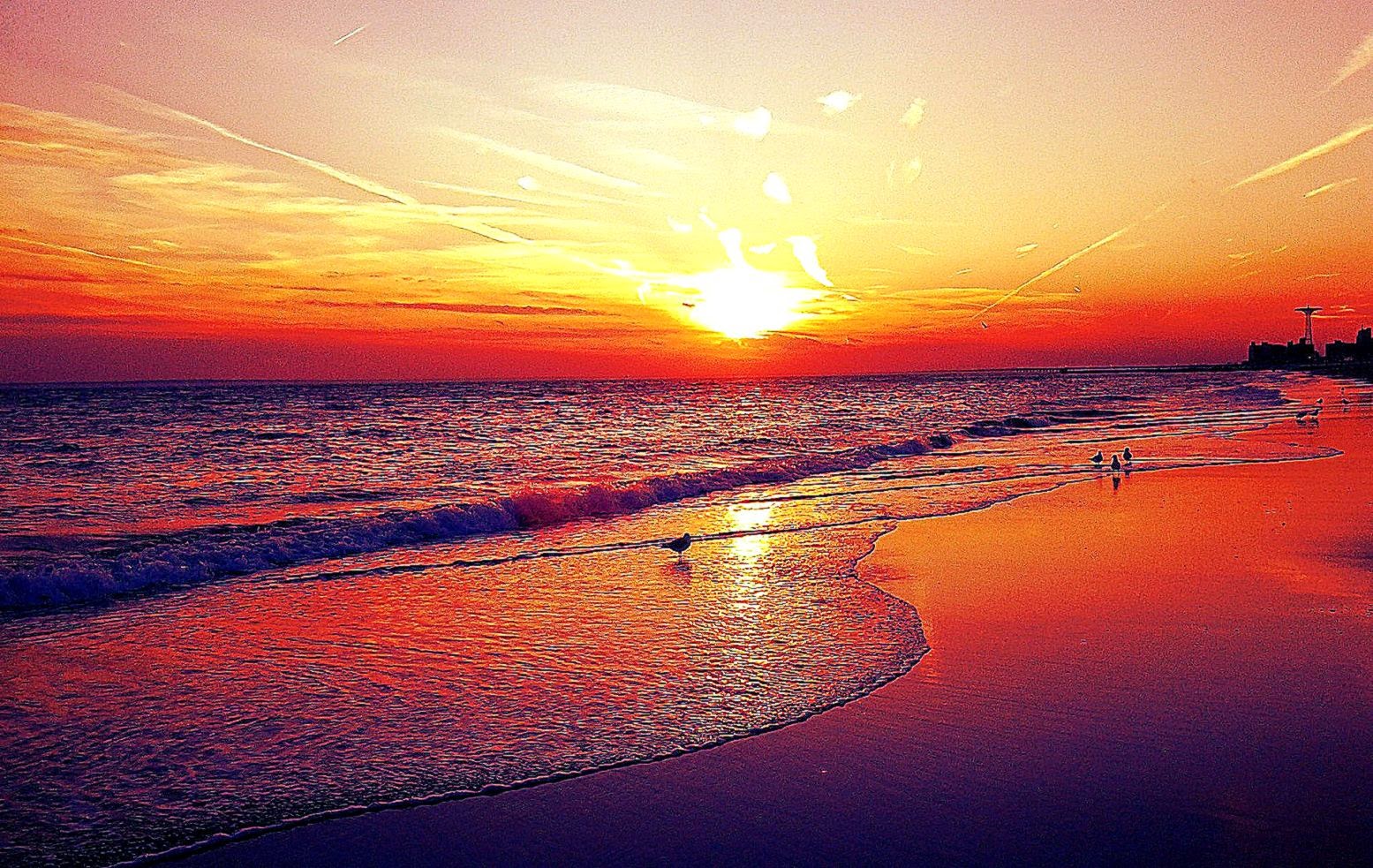 Vivid sunset over a tranquil beach, casting a warm, orange glow on the wet sand and gentle waves. Birds wade in the shallows, creating a peaceful, scenic beach landscape