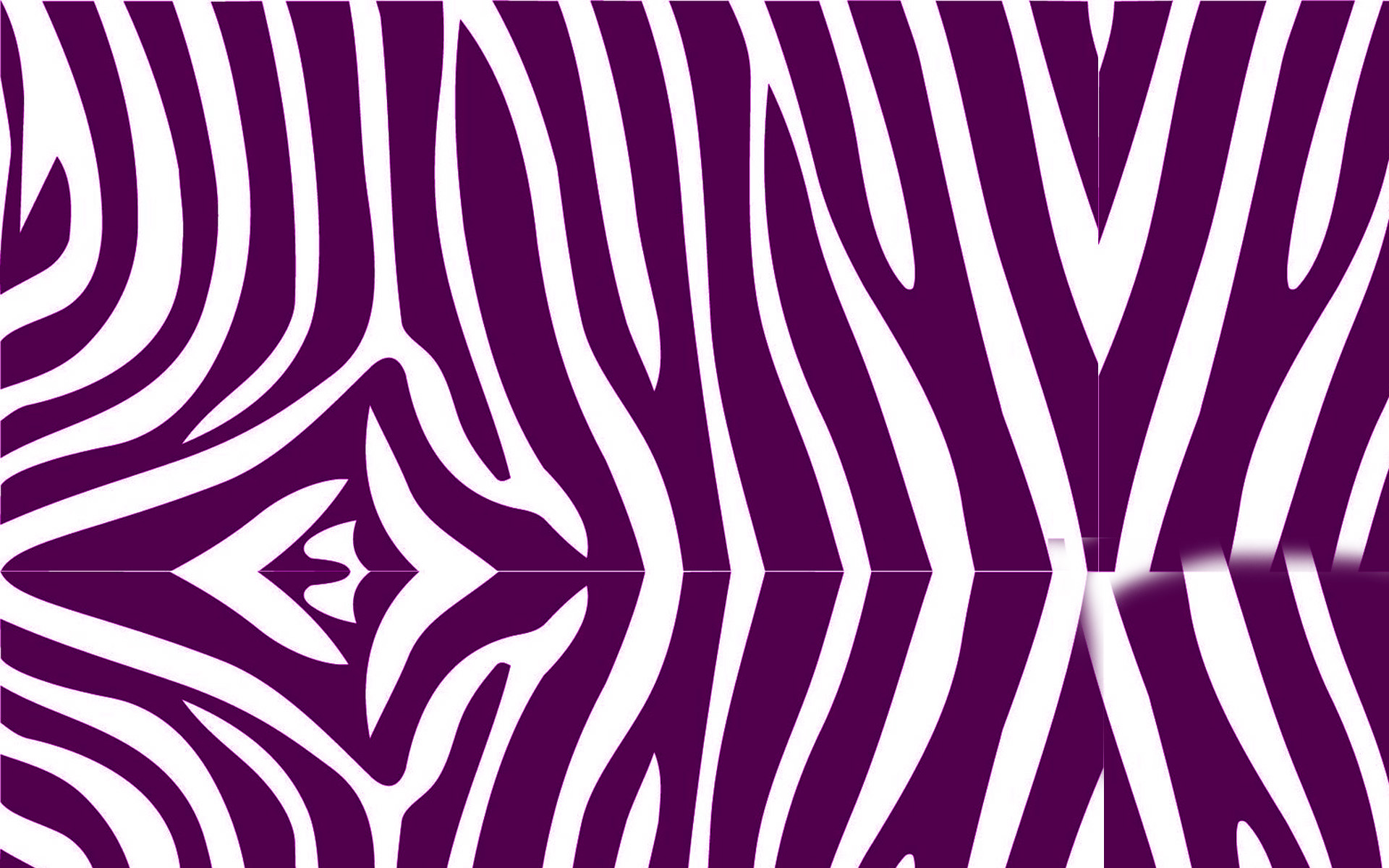 Zebra Print Wallpaper HD