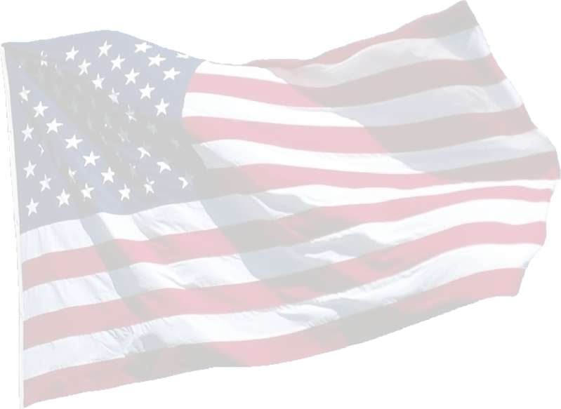 moleskinex19 American Flag Background 799x583