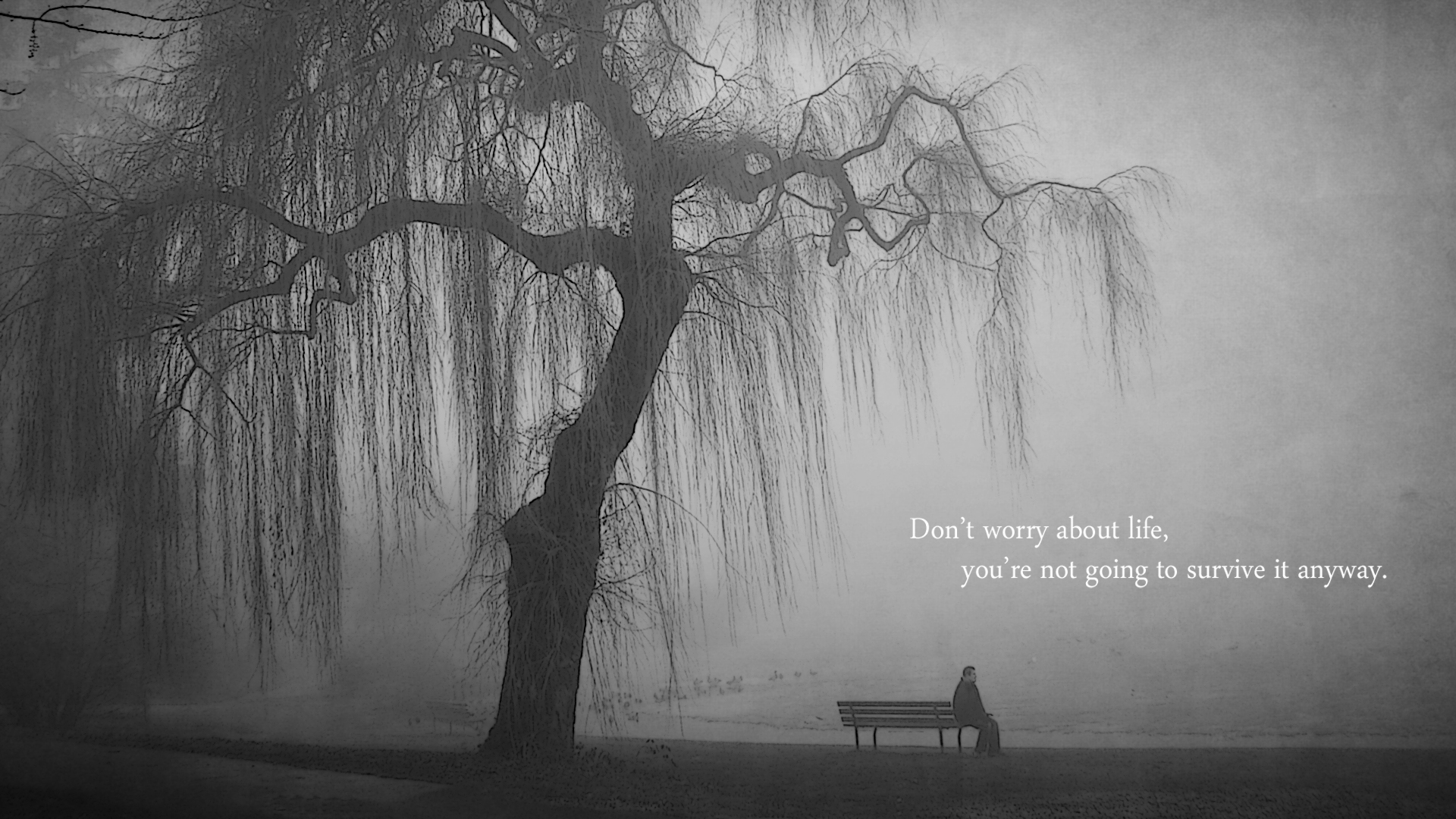 Quotes Bench Lonely Grayscale Lakes Wallpaper