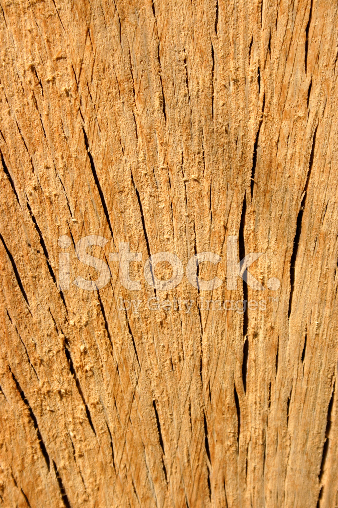 Oakwood Stock Photos Image