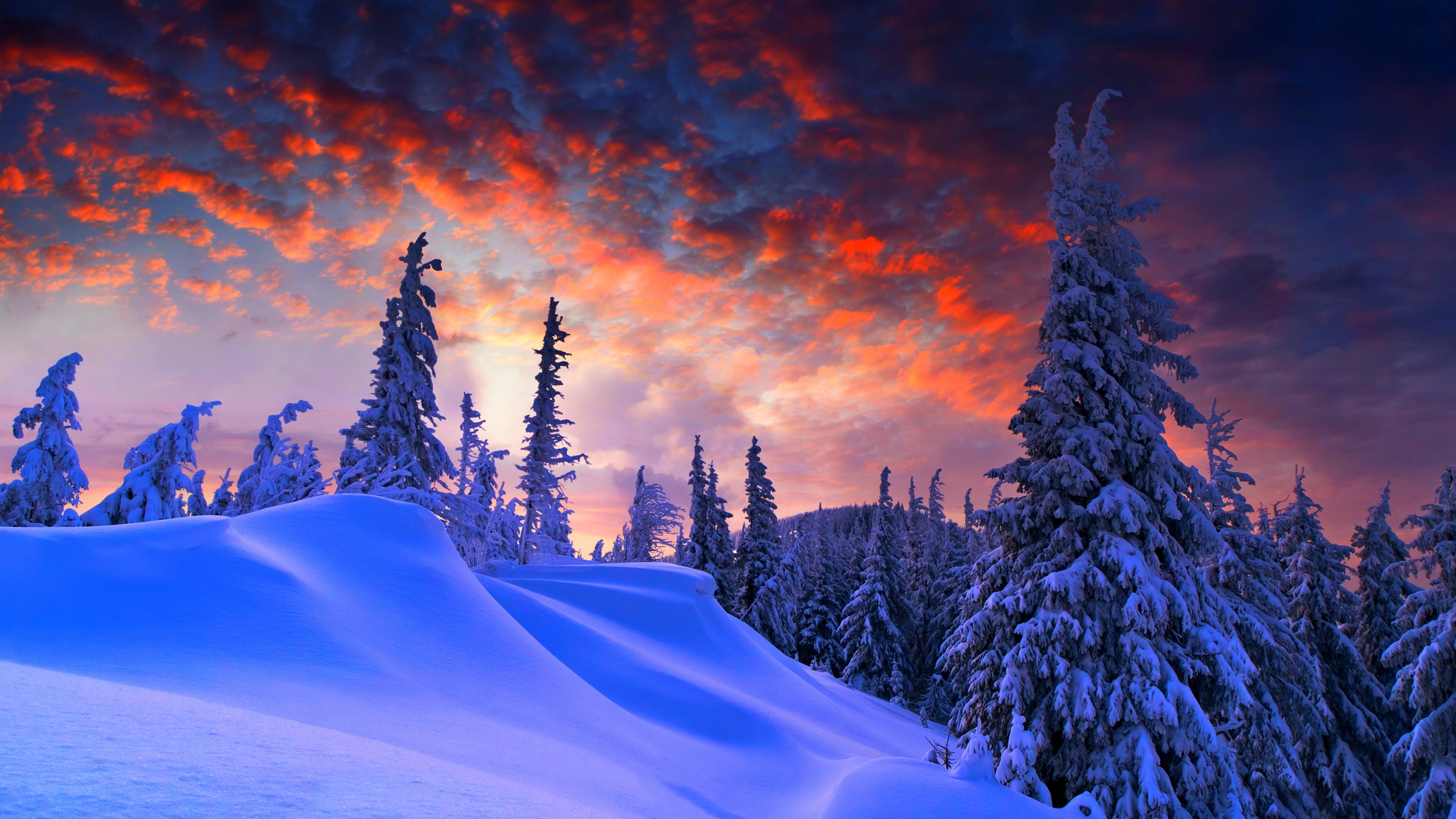 Wallpaper Forest Snow Winter Sunrise Clouds 8k Nature