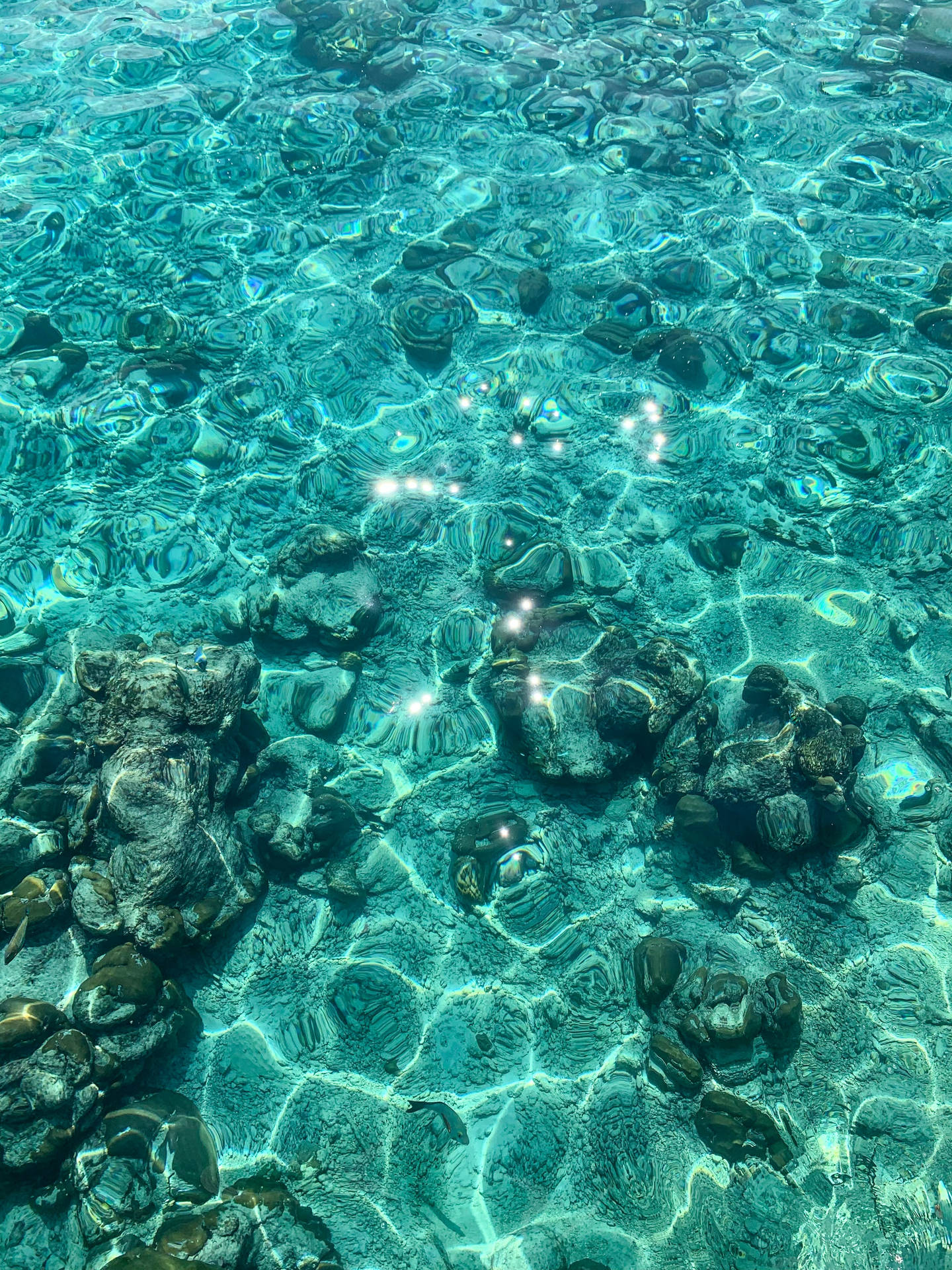 Ocean Blue Wallpaper