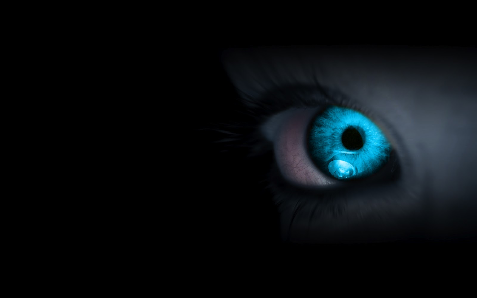 Black Face Blue Eye New Xp Wallpaper Windows7windows8 Xp7