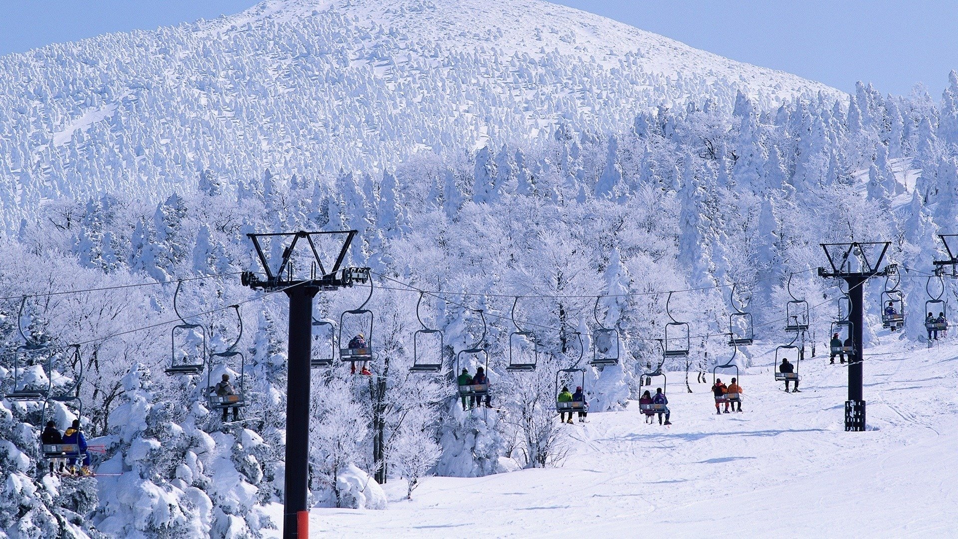 Winter Forest Ski Resort Wallpaper HD Desktop And Mobile