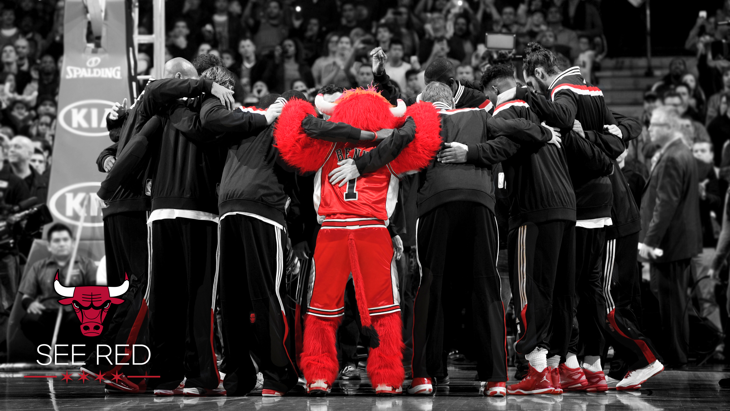 2015 See Red Wallpaper Chicago Bulls