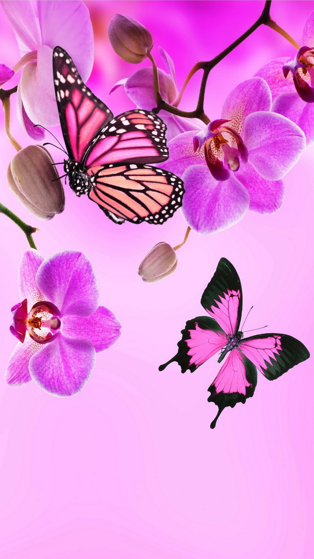Floral iPhone Background Wallpaper