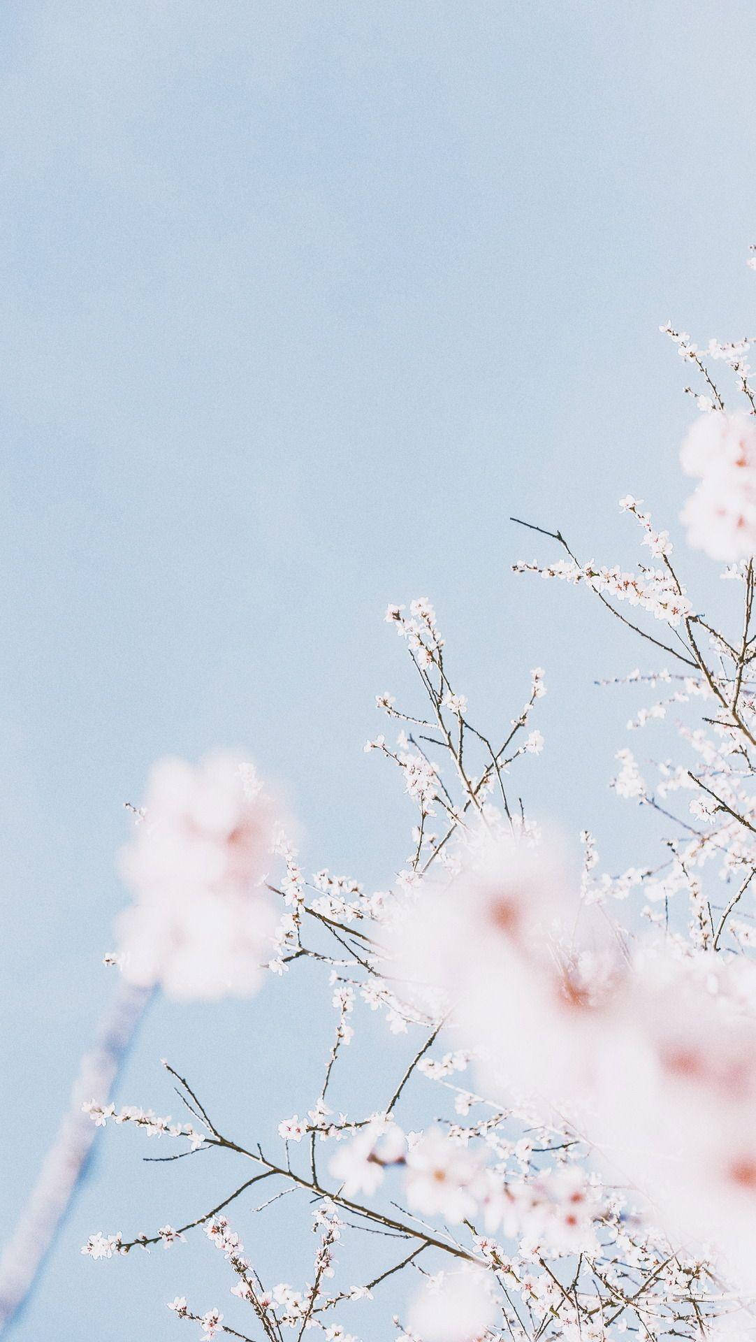 Pastel Blue Aesthetic iPhone Wallpaper