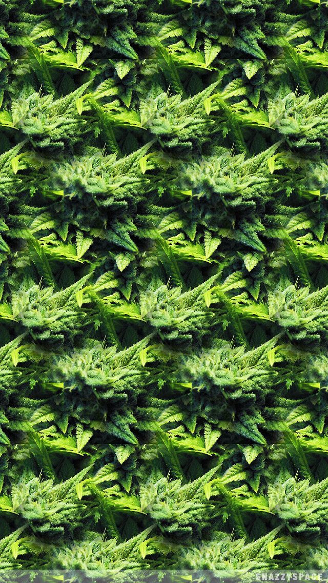 This Kush iPhone Wallpaper Is Very Easy Just Click