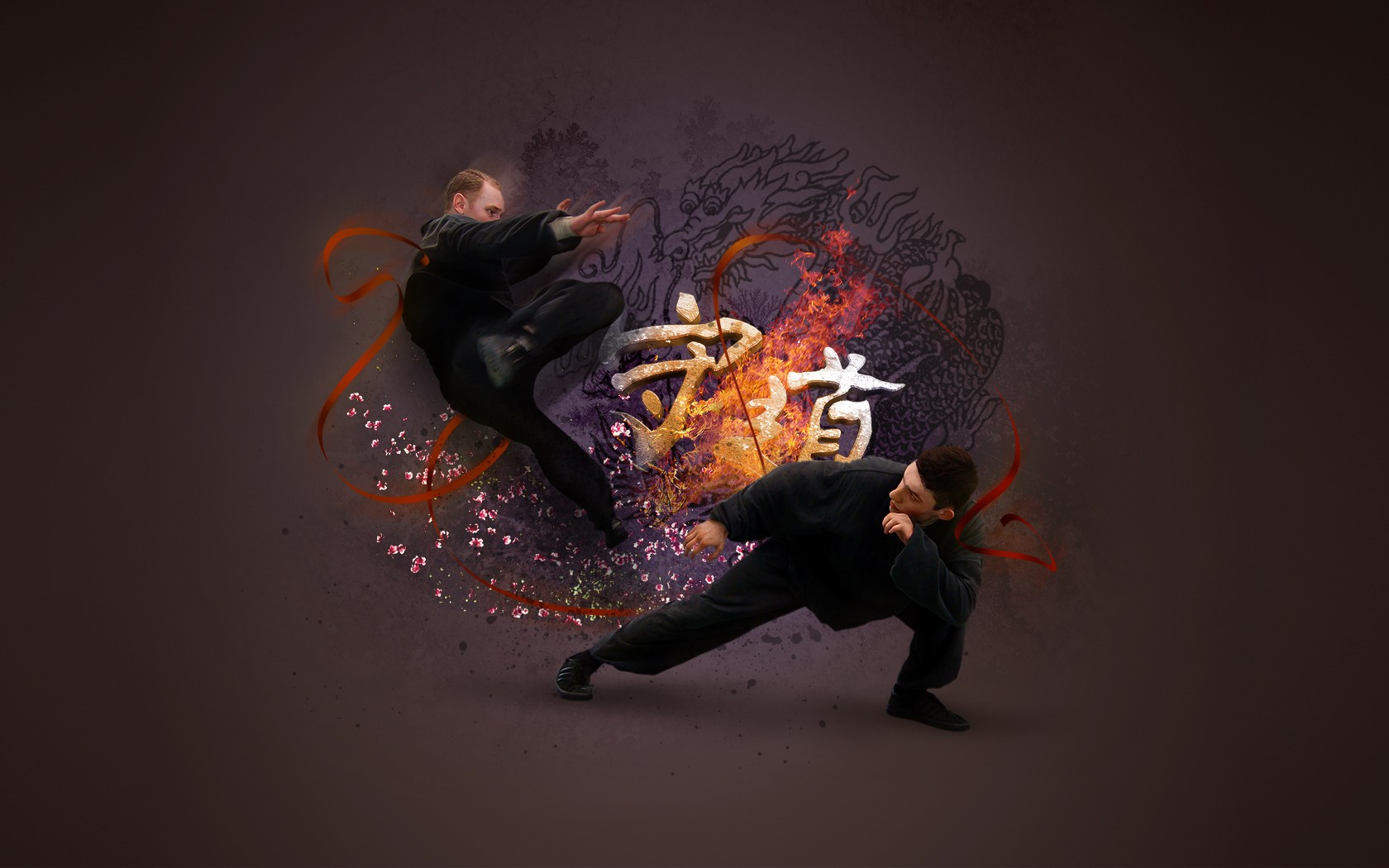 Sports Martial Arts Wallpaper 1680x1050 Sports Martial Arts