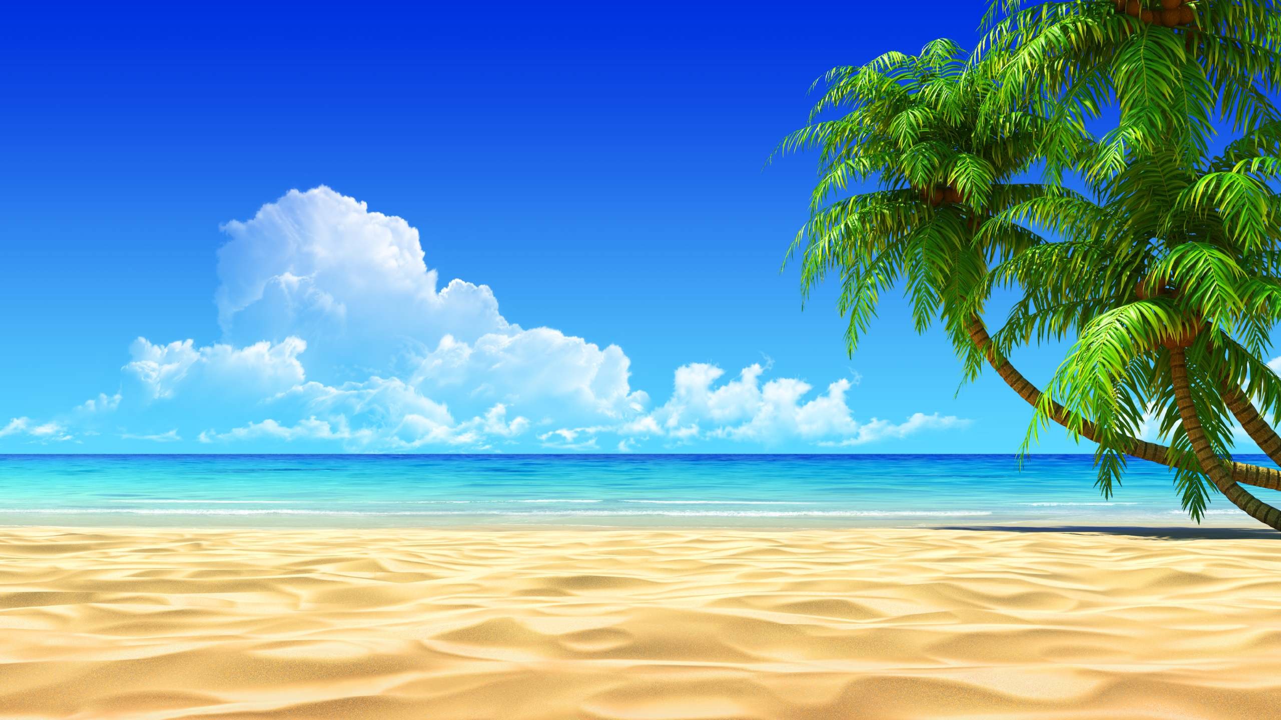 Awesome Tropical Beach Desktop Background HD Wallpaper