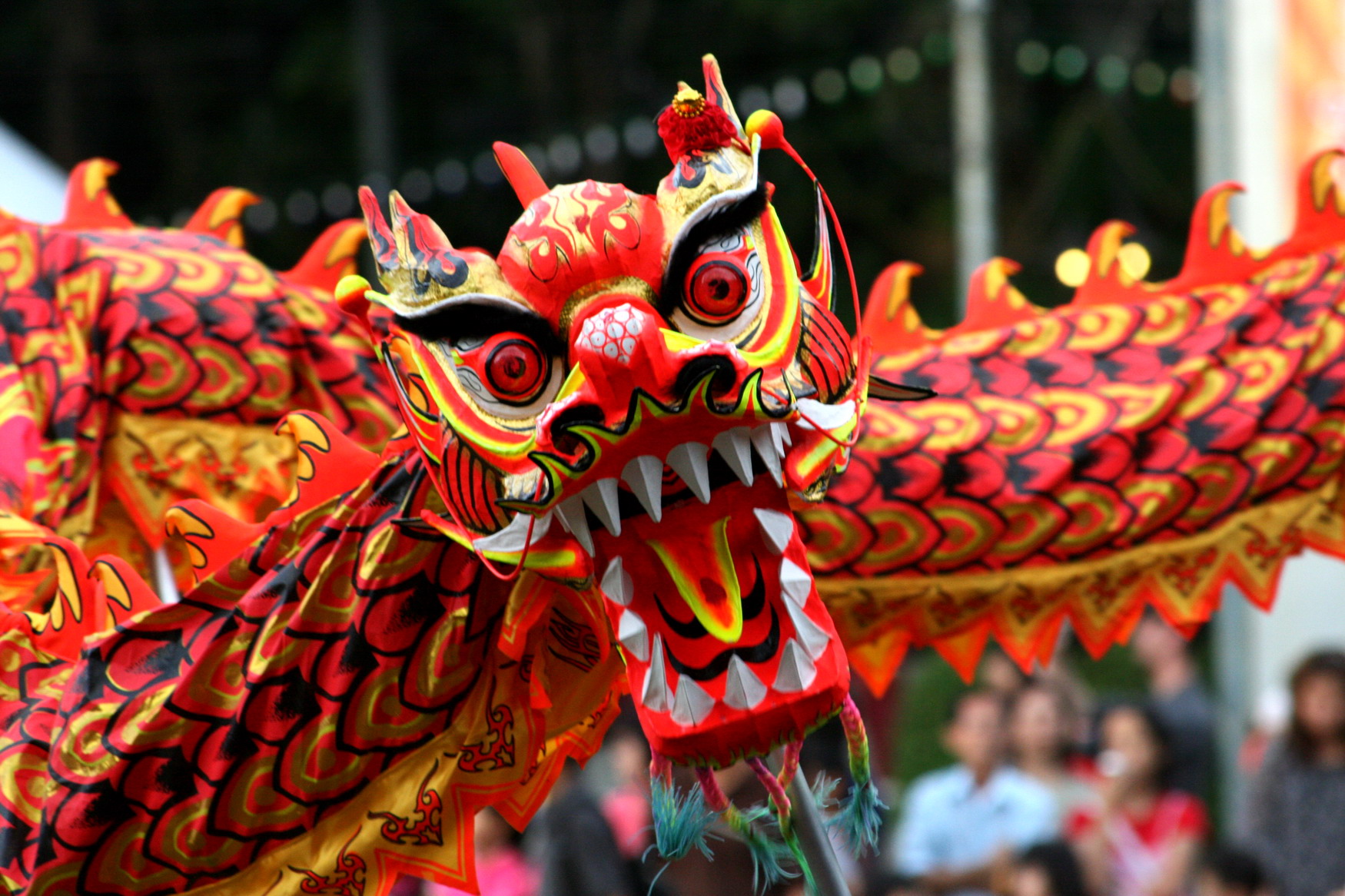 Popular Chinese New Year Traditions Wallpaper