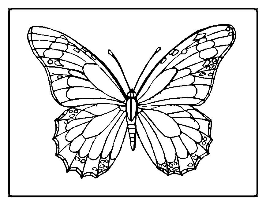 the wallpapers coloring pages part 013 coloring pages 869x671