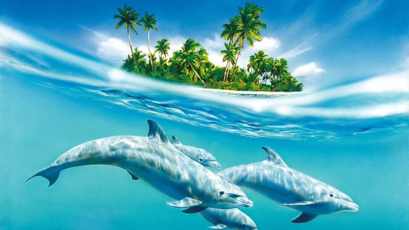 Dolphins Ocean Wallpaper Pixel Popular HD