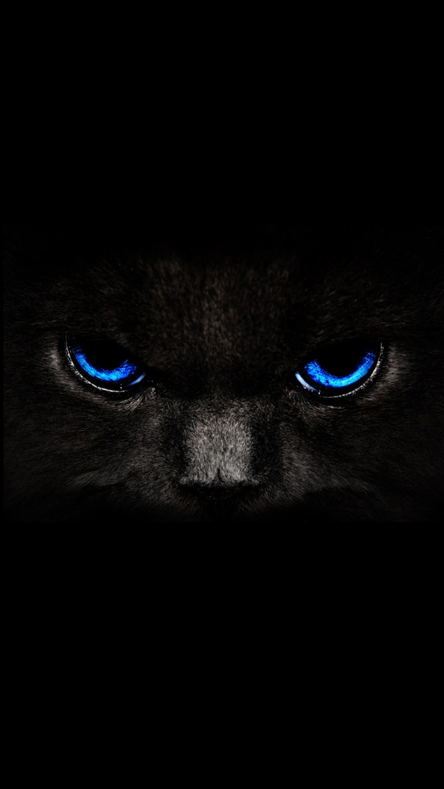 black cat iphone 5 wallpaper   PCTechNotes PC Tips Tricks and