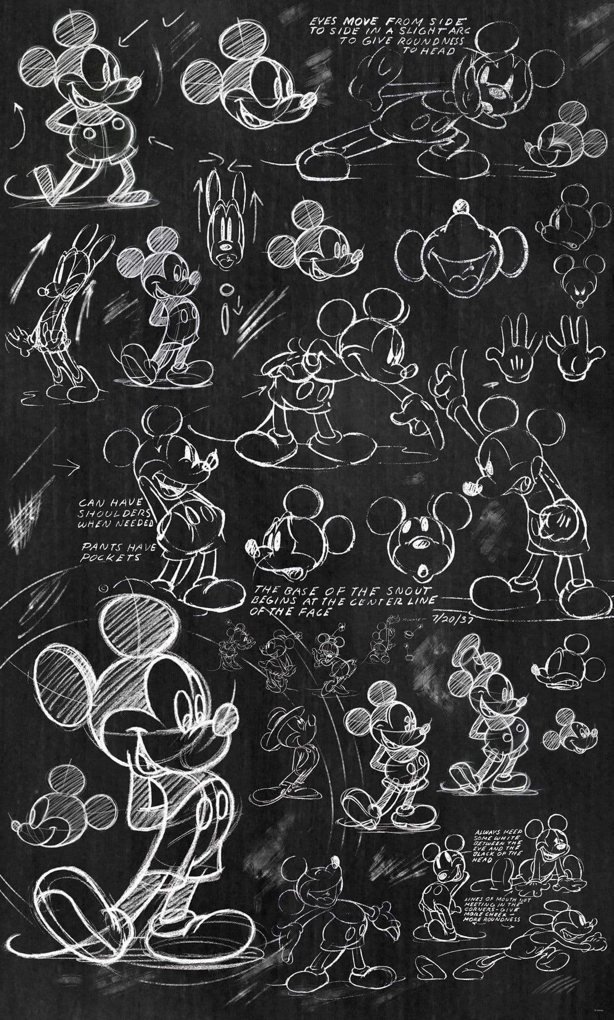 Mickey Mouse Black Photo Wallpaper Buy It Now