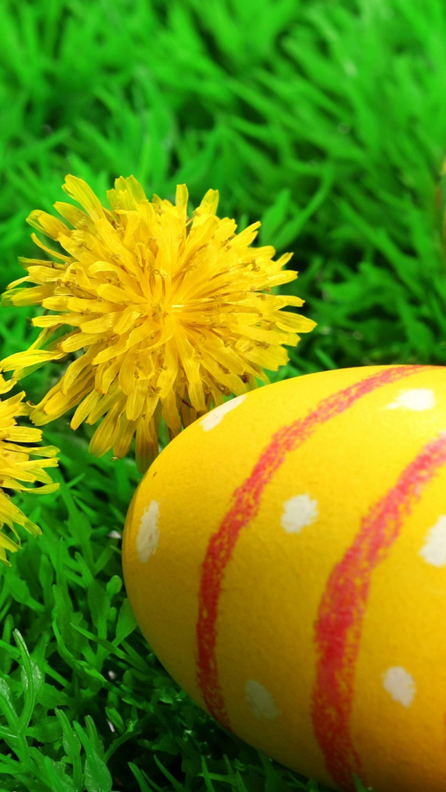 Easter Eggs Ideas   Download Easter Eggs iPhone 5 HD Wallpapers 640x1136