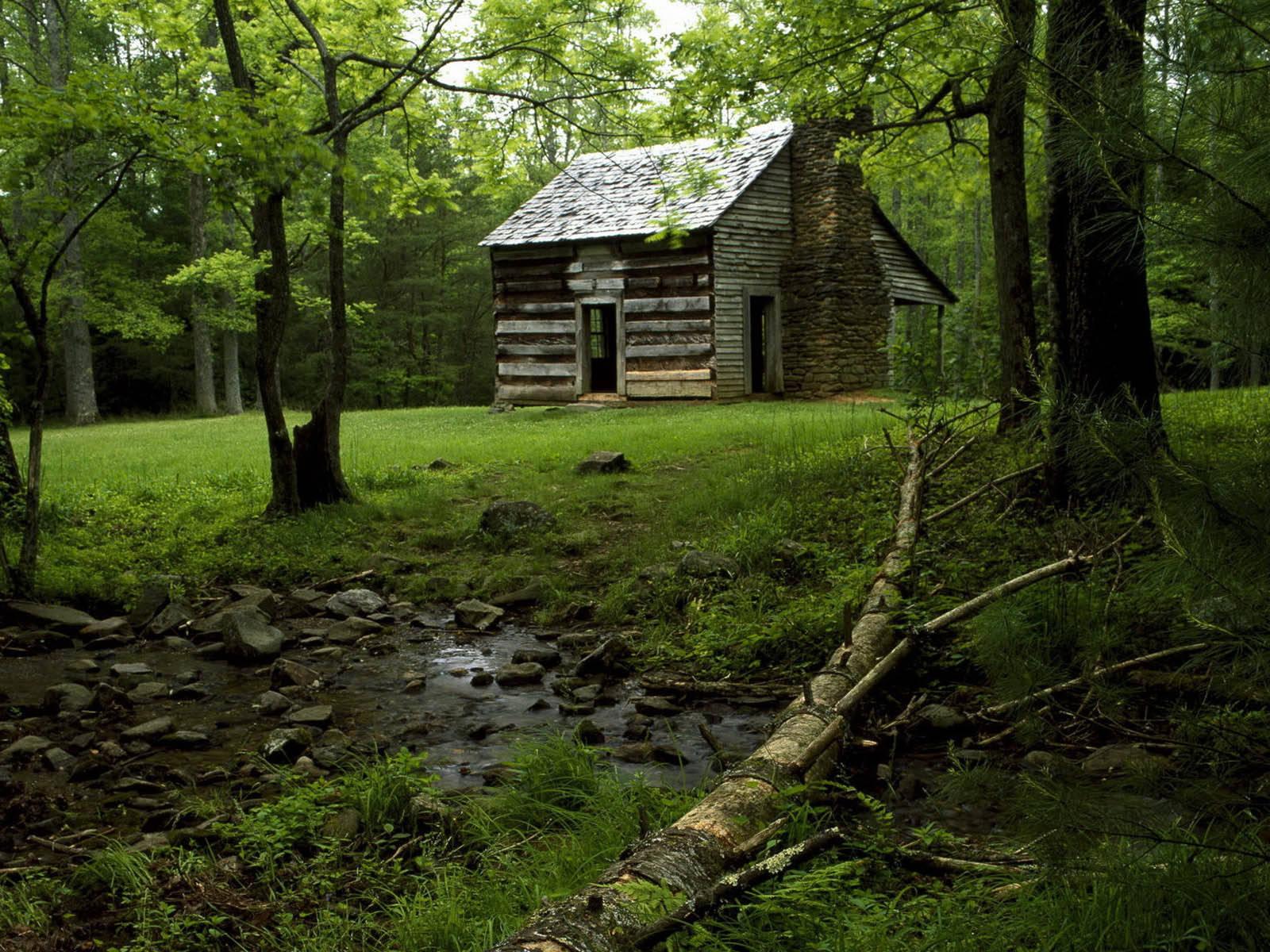 Wood House Wallpaper