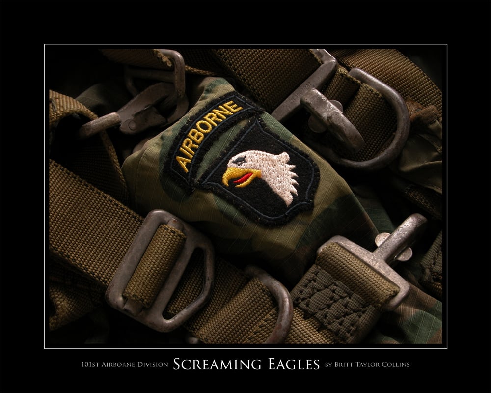 101st Airborne Screaming Eagles 101st airborne division 1000x800