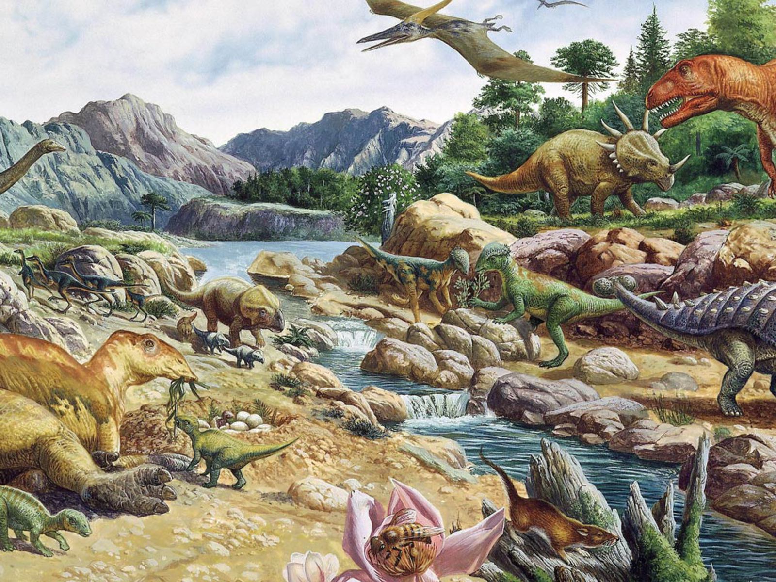 Wallpapers dinosaur wallpapersdinosaur wallpaperdinosaurs wallpaper 1600x1200