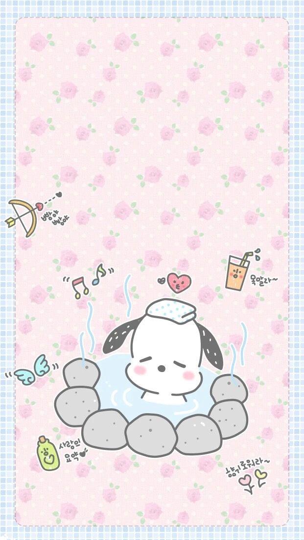 Pochacco Sanrio Hello Kitty Cute Wallpaper Cartoon