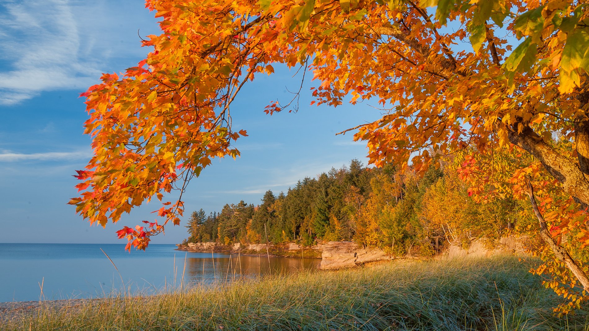 Autumn Lake Trees Landscape Michigan Wallpaper Background