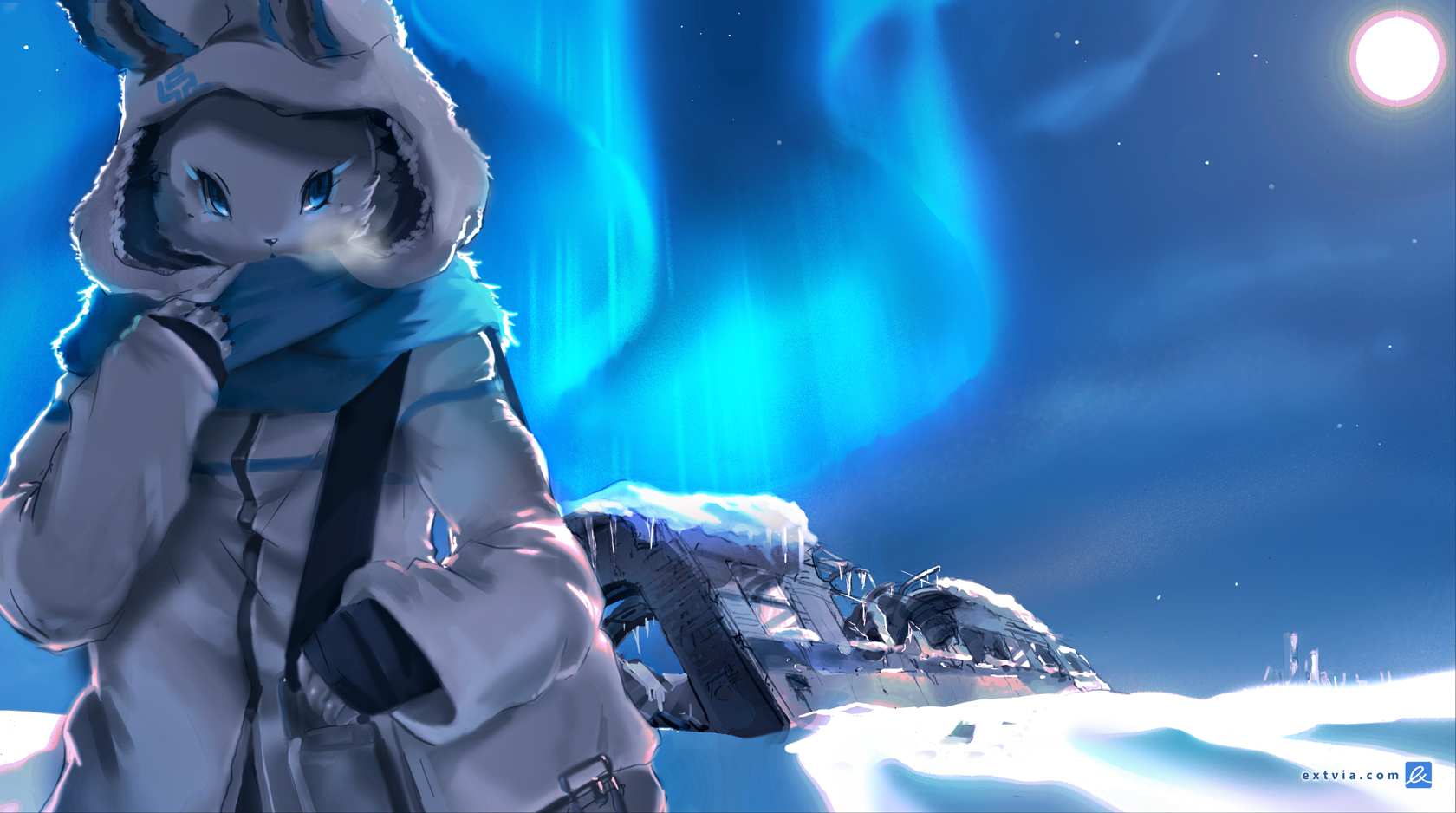 Furry Snow Wallpaper Hq