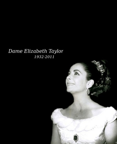 Elizabeth Taylor Image Wallpaper And