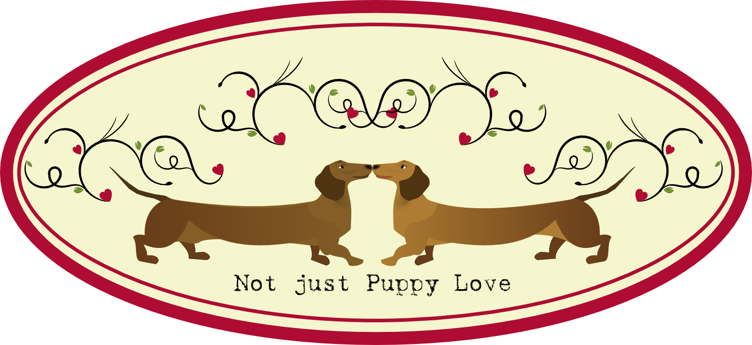 Dachshund Clipart Transparent Background Picture