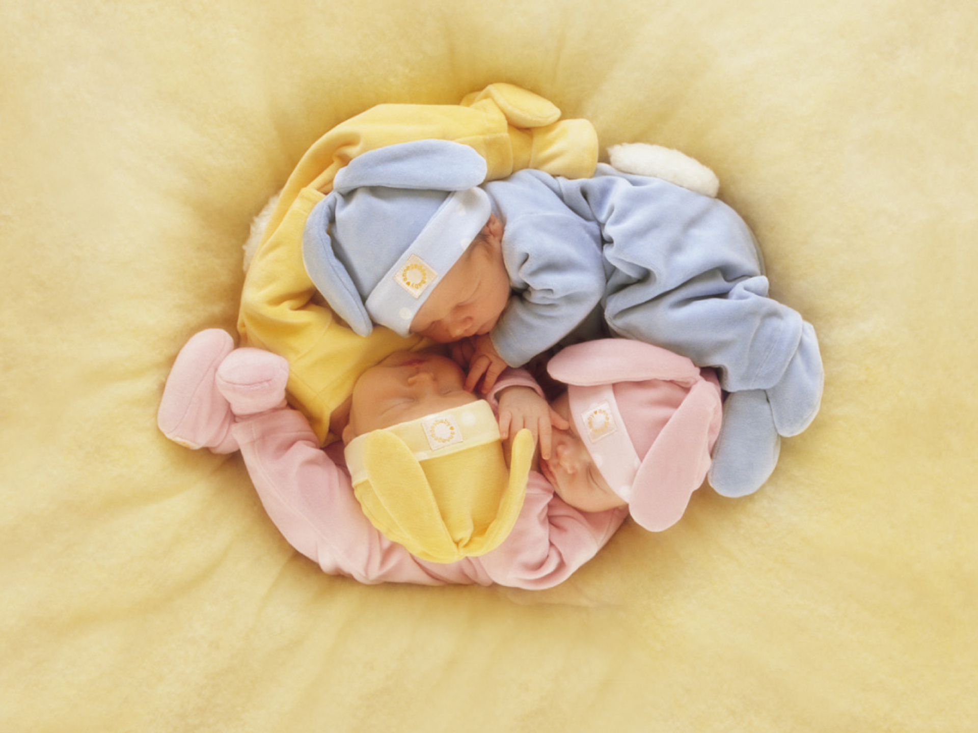 Anne Geddes Wallpaper Baby Children Kids Sleep