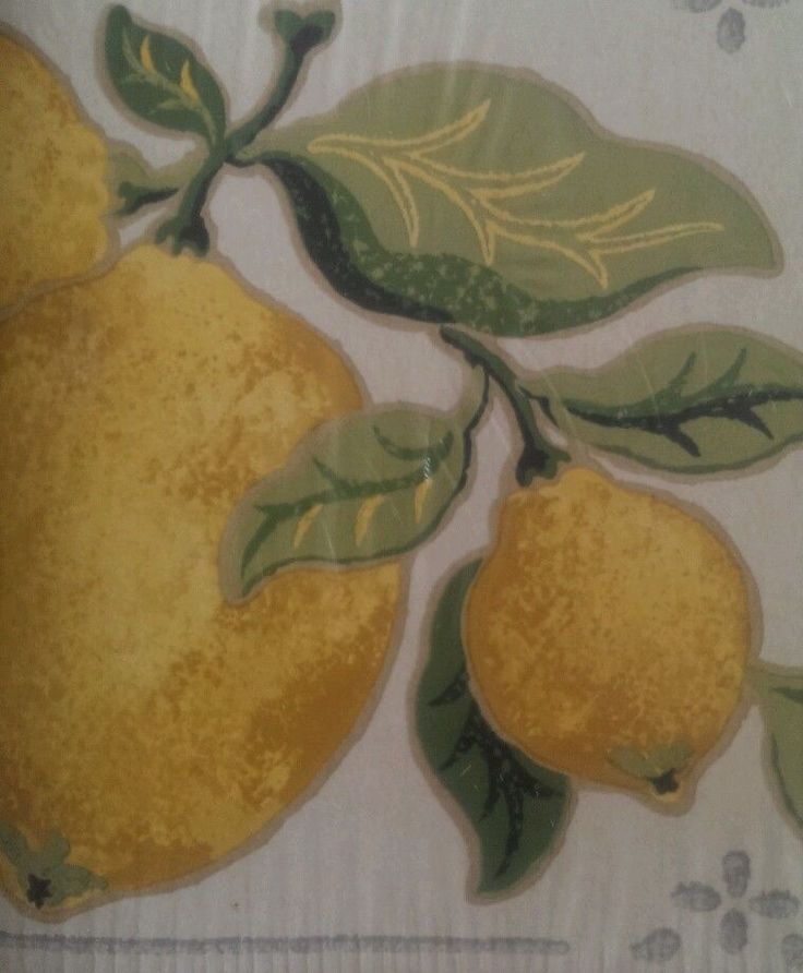 Laura Ashley Wallpaper Border Green Yellow Lemon Fruit Garden Yds