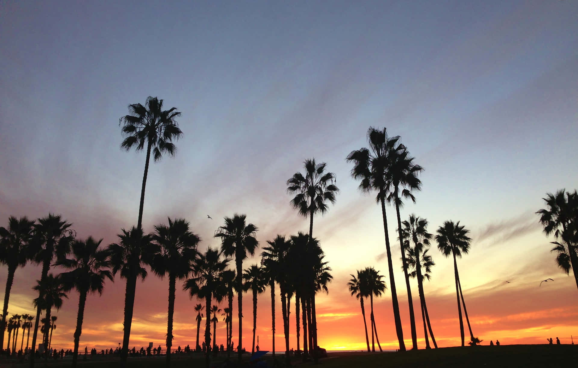 California Summer The Best Vacation Ever Wallpaper