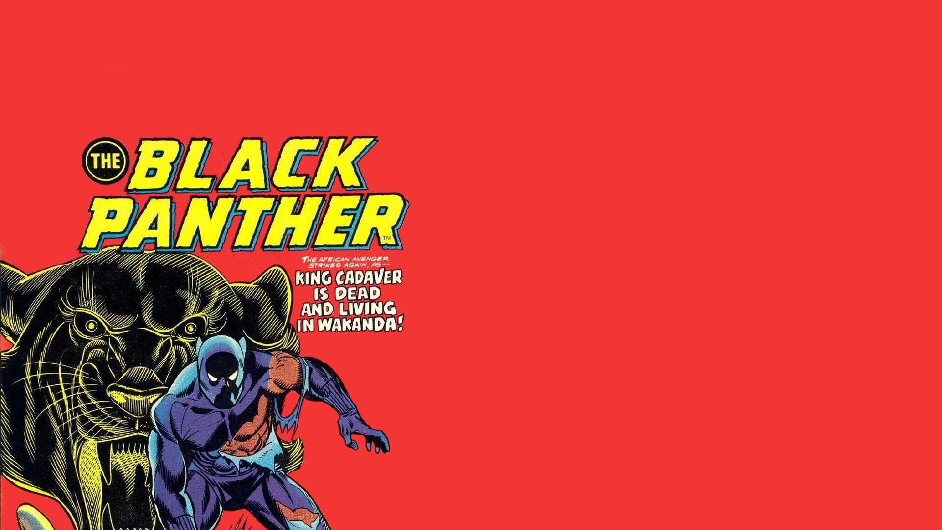 Black Panther Computer Wallpapers Desktop Backgrounds