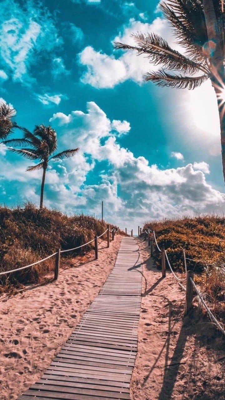 Summer Aesthetic Co Wallpaper