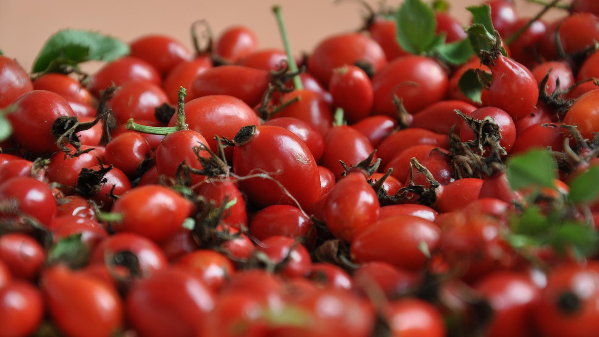 Berry Wallpaper HD