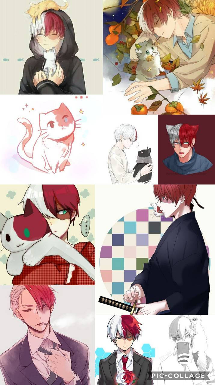 Todoroki Cute HD Wallpaper