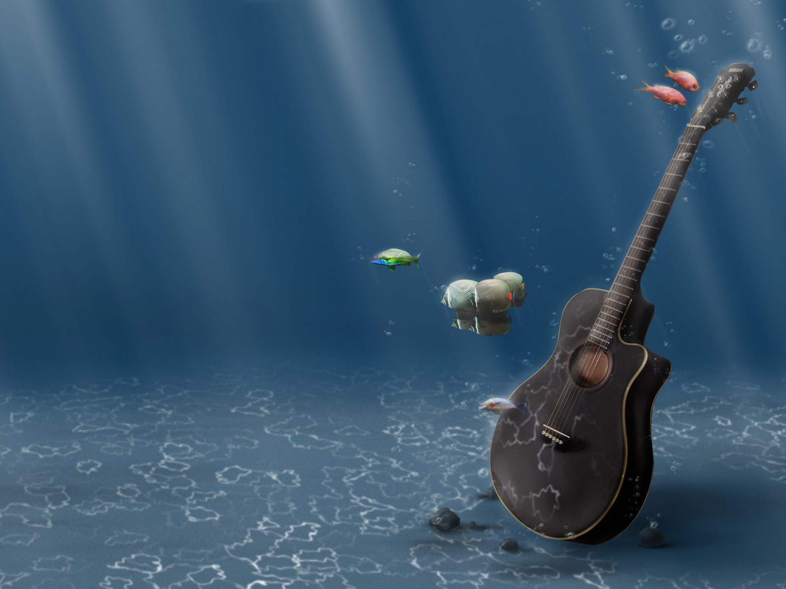 Playing Fish Google Themes Guitar Wallpaper