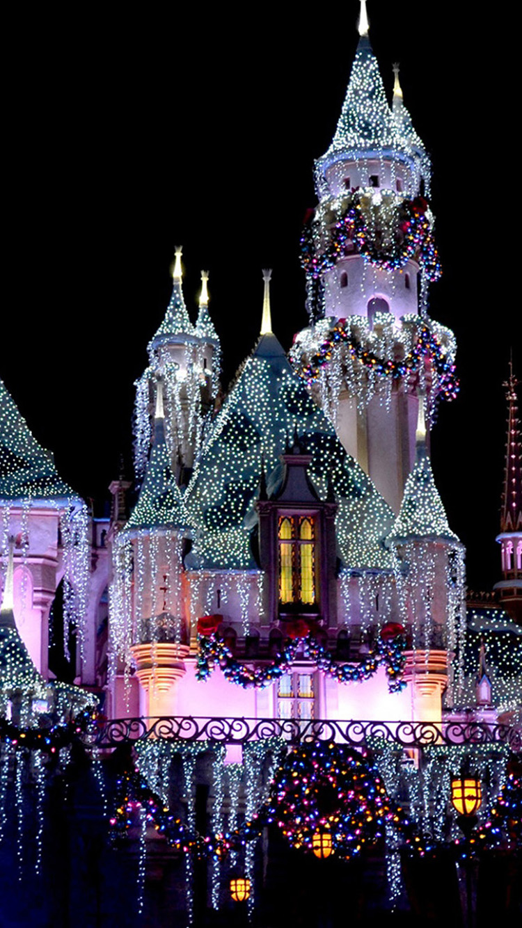 Disneyland Iphone Wallpaper Castle Iphone 6 Wallpapers 750x1334