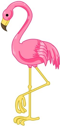 Tropical Flamingo Pictures Clip Art Pink Of
