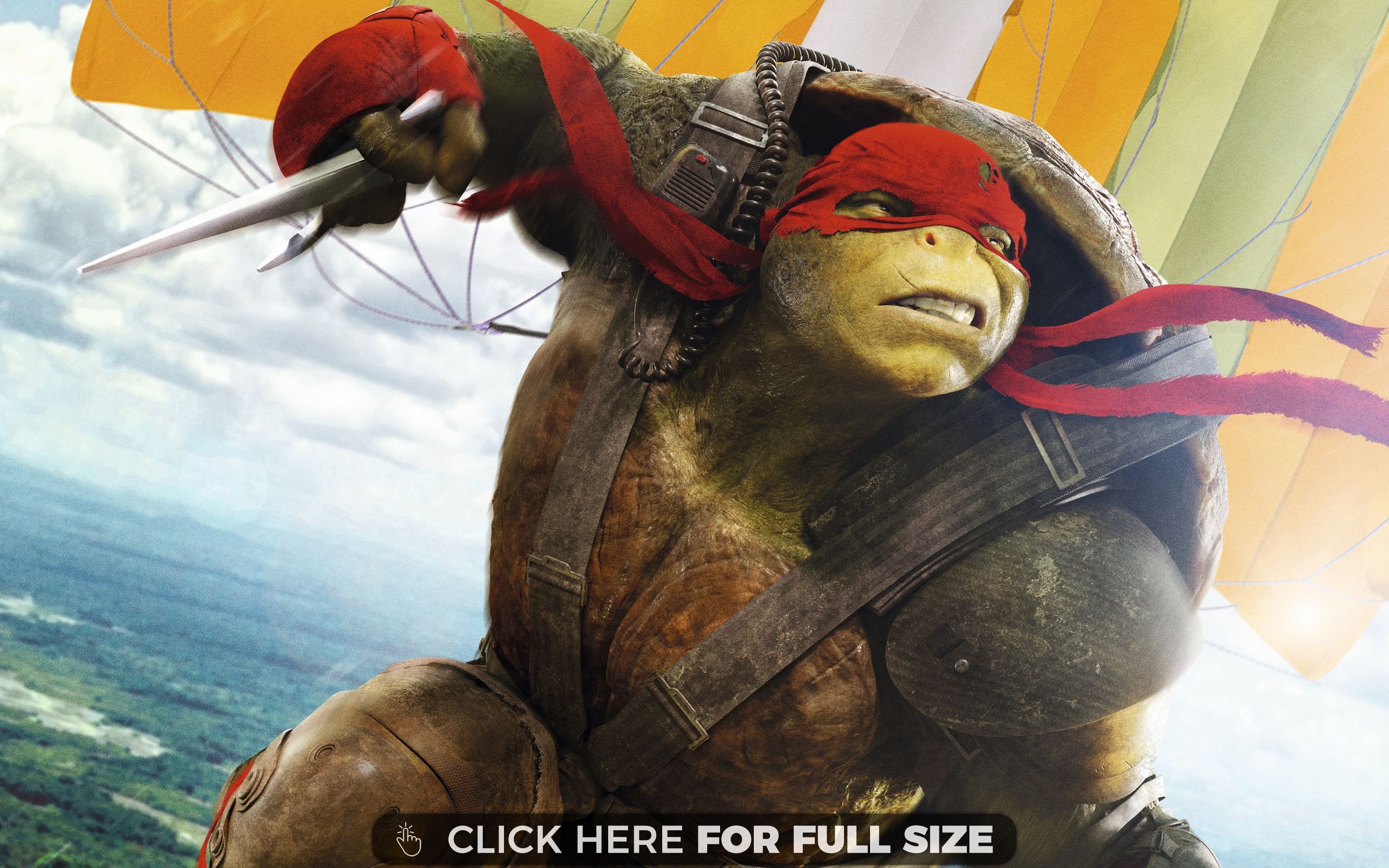 Tmnt Wallpaper Photos And Desktop Background Up To 8k