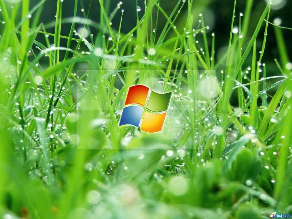 Mobile Wallpaper Brands Grass Logos Microsoft