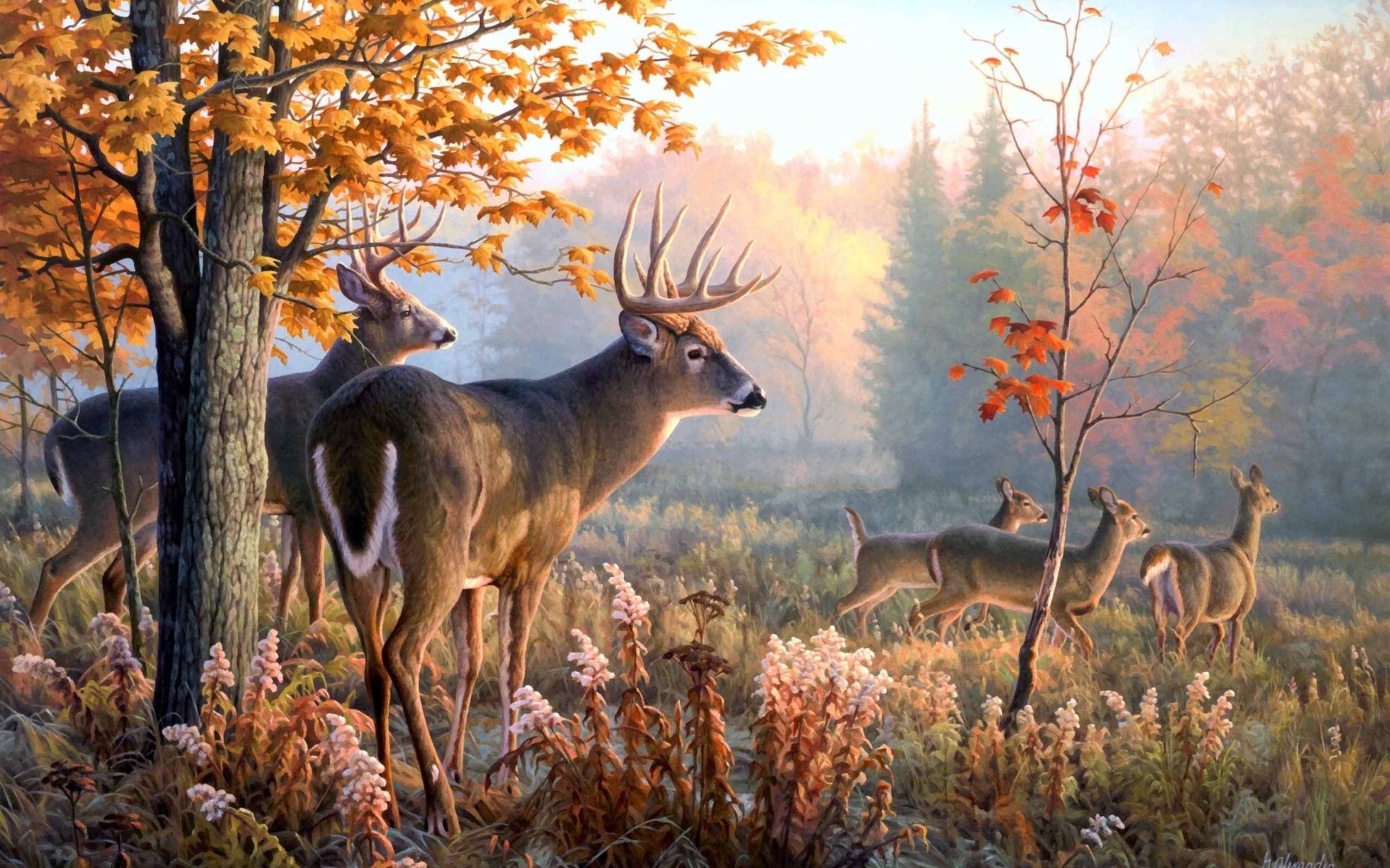 Wallpaper Deer Art HD Background