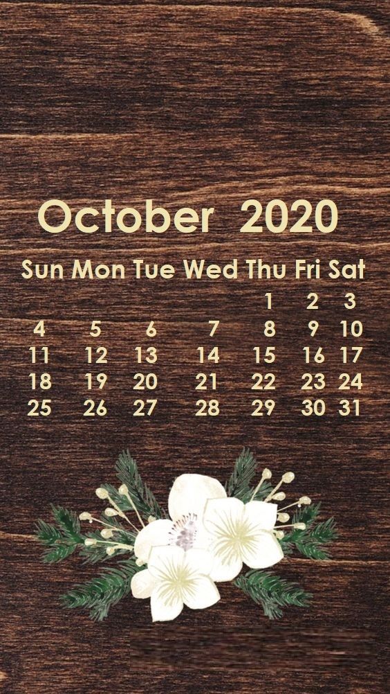 October 2020 iPhone Wallpaper in 2019 Calendar wallpaper 564x1002