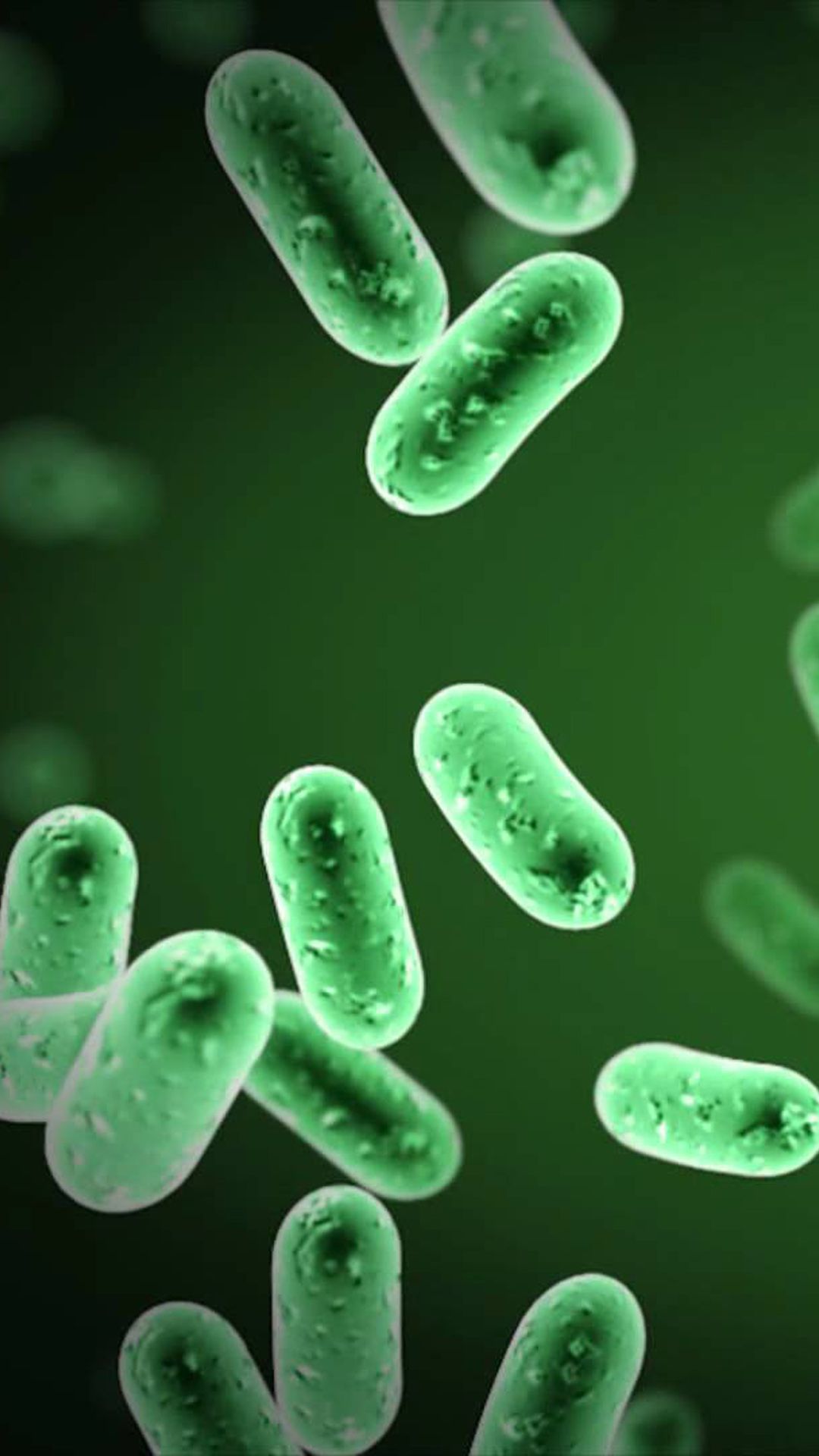 Bacteria Wallpaper Top Background