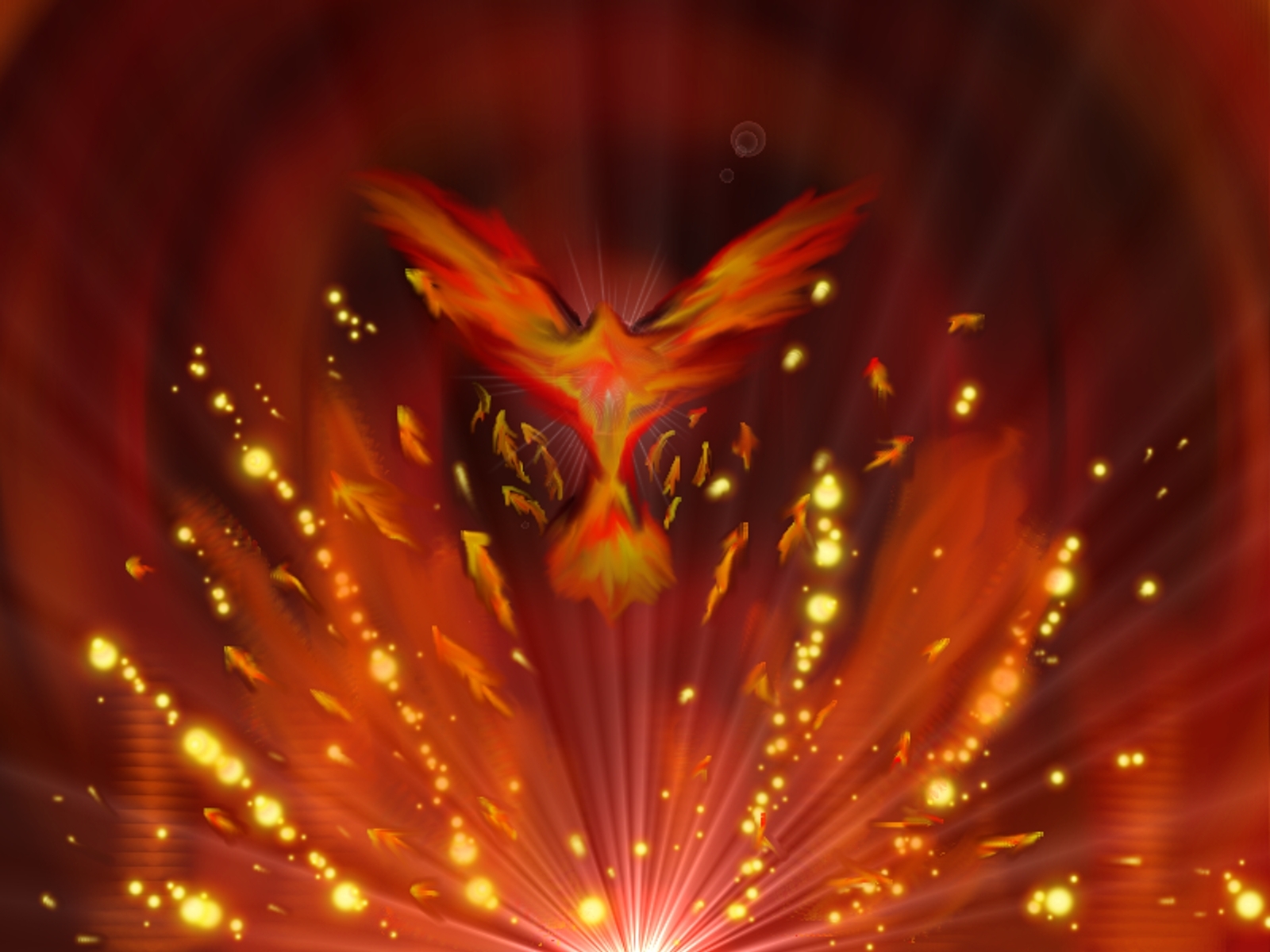 rising phoenix wallpaper 06